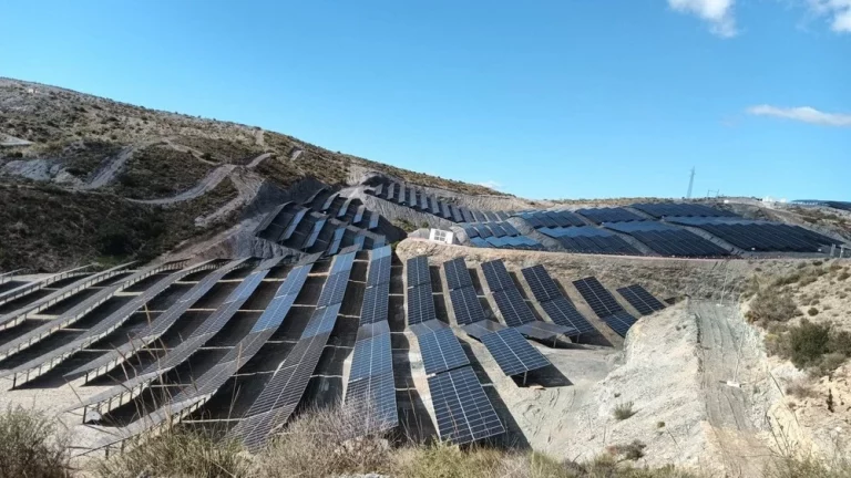 WhatsApp Image 2026-02-18 at 09.53.29 (1)