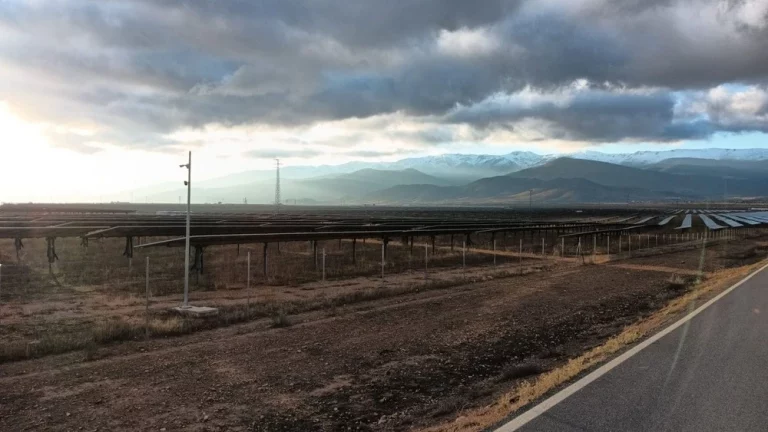 WhatsApp Image 2026-02-18 at 09.53.30