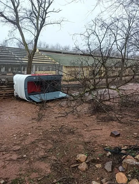 sanitarios-portatiles-campo-abierto-3